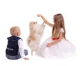 Brother and sister having fun with a puppy isolated on a white background. Kids playing with a dog. Home pet concept.