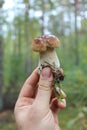 Beautiful and little cep in the hand