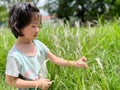 Beautiful little cute girl is picking up flower in the grass field with copy space Royalty Free Stock Photo