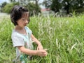 Beautiful little cute girl is picking up flower in the grass field with copy space Royalty Free Stock Photo