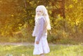 Beautiful little girl autumn Royalty Free Stock Photo