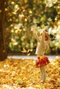 Beautiful little girl in the autumn park playing in nature Royalty Free Stock Photo