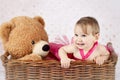 Beautiful little girl with big teddy bear in the wicker basket Royalty Free Stock Photo