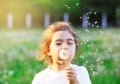 Beautiful little Girl blowing dandelion flower in sunny summer p Royalty Free Stock Photo