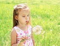 Beautiful little girl blowing dandelion Royalty Free Stock Photo