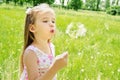 Beautiful little girl blowing dandelion Royalty Free Stock Photo