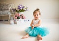 Beautiful little girl in a blue puffy skirt