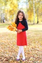 Beautiful little girl child with yellow maple leafs in autumn Royalty Free Stock Photo
