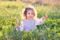 A beautiful little girl with curly hair sat down in a green meadow with tall grass holding flowers Royalty Free Stock Photo