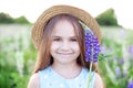 Beautiful little girl in a dress holding a lupine at sunset on the field. The concept of nature and romance. Happy childhood.  A c Royalty Free Stock Photo