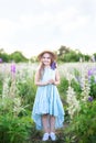 Beautiful little girl in a dress holding a lupine at sunset on the field. The concept of nature and romance. Happy childhood A chi Royalty Free Stock Photo