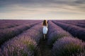 Girl in a lavender field Royalty Free Stock Photo