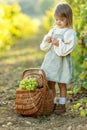 Beautiful little girl with grapes. Child with fruit.