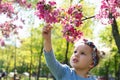 Beautiful little girl with headband in spring day in the park. Close up view of the cute girl reaches for the flower of Royalty Free Stock Photo