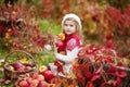 Beautiful little girl holding apples in the autumn garden. . Little girl playing in apple tree orchard. Toddler eating fruits at Royalty Free Stock Photo