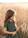 Beautiful little girl with long hair walking through a wheat field on a sunny day. Outdoors portrait. Kids relaxing Royalty Free Stock Photo