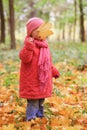 Beautiful little girl playing in the autumn on the nature in the park Royalty Free Stock Photo