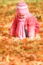 Beautiful little girl playing in the autumn on the nature in the park Royalty Free Stock Photo