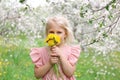 Beautiful Little Girl Smelling Flowers Outside in Under the Apple Trees Royalty Free Stock Photo