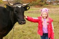 Beautiful little girl stands on meadow near black cow on chain.