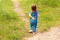 A beautiful little girl walks along a forest path. The baby is walking along a sandy path among the grass. A child runs away from
