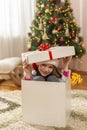 Little girl hiding inside of giant Christmas present Royalty Free Stock Photo