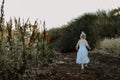 Beautiful little girl in a white dress walking along a country road at sunset Royalty Free Stock Photo