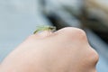 Beautiful little green dragonfly on a hand Royalty Free Stock Photo