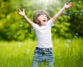 Girl, soap bubbles, fun Royalty Free Stock Photo