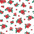 Beautiful little hibiscus tropical flower pattern vector. White background. Illustration