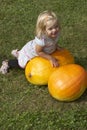 Beautiful little kid girl having fun with farming on organic pumpkin patch Royalty Free Stock Photo