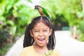 Beautiful parrot birds standing on child head. Asian child girl play with her pet parrot bird with fun