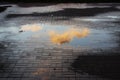 beautiful little pink cloud, illuminated by the setting sun, is reflected in a puddle in the square with paving tiles