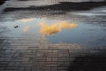 beautiful little pink cloud, illuminated by the setting sun, is reflected in a puddle in the square with paving tiles