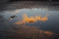 Beautiful little pink cloud, illuminated by the setting sun, is reflected in a puddle in the square with paving tiles