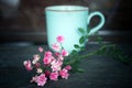 Beautiful little pink roses with blurry background of a cup of coffee. Still life concept. Valentine concept. Royalty Free Stock Photo