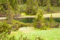 A beautiful little pond with clean water. Water in the lake reflecting green