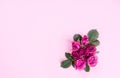 Beautiful little rose buds, petals and rose leaves on a gently pink background