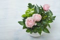 Beautiful little roses Royalty Free Stock Photo