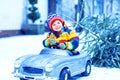 Beautiful little smiling kid boy driving toy car with Christmas tree. Happy child in winter fashion clothes bringing Royalty Free Stock Photo