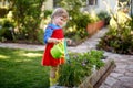 Beautiful little toddler girl in yellow rubber boots and colorful dress watering spring flowers with kids water can Royalty Free Stock Photo