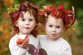 Beautiful little twin girls holding apples in the autumn garden. Little girls playing with apples. Toddler eating fruits at fall