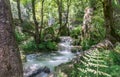 Beautiful little waterfalls stretching through the forrest Royalty Free Stock Photo