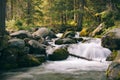 Beautiful little waterful in green small forest.