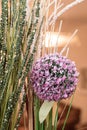 Beautiful living room purple and pink flower ball decoration wit