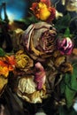 Beautiful living roses dried in a bouquet art