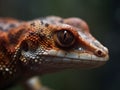 close up of beautiful lizard in the nature