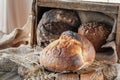 Beautiful loaves of wheat leaven bread with an assortment of grains and seeds on a plate on the edge of the canvas. Homemade cakes Royalty Free Stock Photo