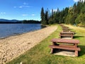 A beautiful location for a picnic with rows of picnic tables along a sandy beach overlooking a beautiful lake Royalty Free Stock Photo