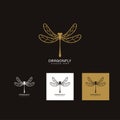 Beautiful Logo dragonfly vector